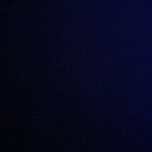 Meet your Posher, Delonte